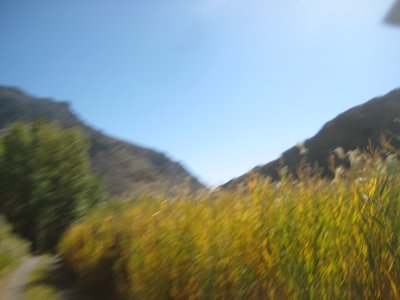 KOTW2011 030.jpg