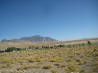 KOTW2011 031.jpg