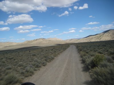 KOTW2011 039.jpg