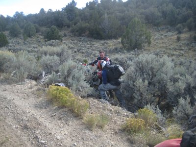 KOTW2011 041.jpg