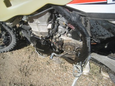 KOTW2011 050.jpg