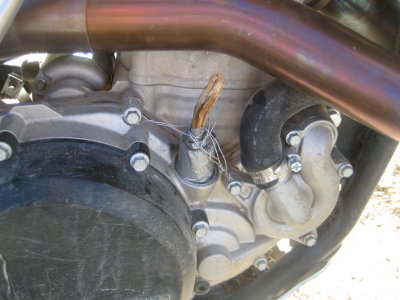 KOTW2011 054.jpg