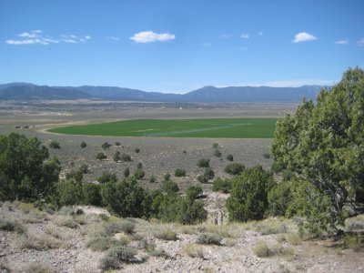 KOTW2011 061.jpg