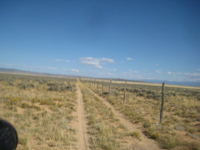 KOTW2011 066.jpg