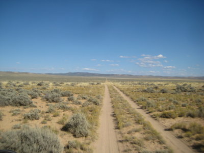 KOTW2011 067.jpg