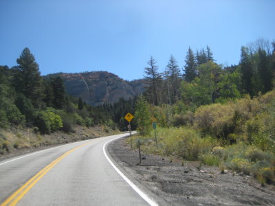 KOTW2011 073.jpg