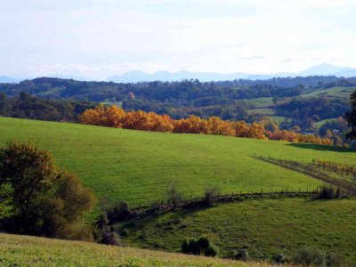 Les Pyrnes vues des environs de Salies