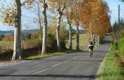 Sur la route de Salies