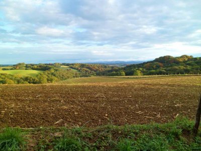 La campagne aux abords de Sauveterre