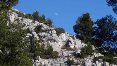 La lune au-dessus de la rocaille en fte