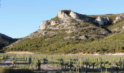 Un vignoble des Alpilles veill par un mont bienveillant