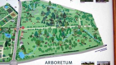 Plan de l'arboretum de Vincennes