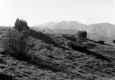 Moull de Jaout vu des pentes du Mont Laid (Zeiss Ikon Ikonta A 521)