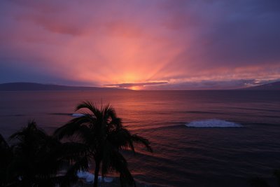 Maui March 5 2011 041.jpg