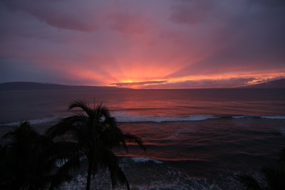 Maui March 5 2011 065.jpg