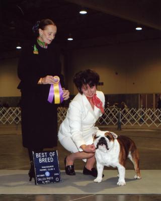Best of Breed Photo's
