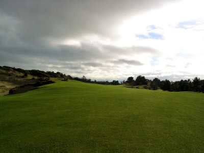 Pacific Dunes