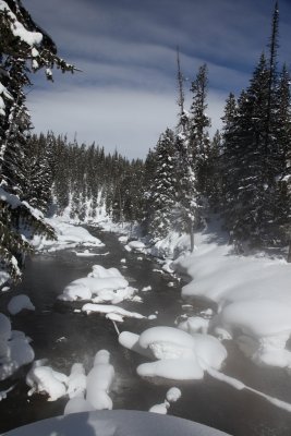 IMG_0537.jpg