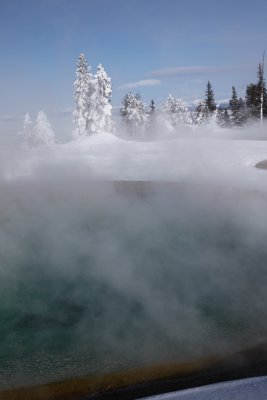 Yellowstone, Winter 2011