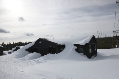 IMG_1010.jpg