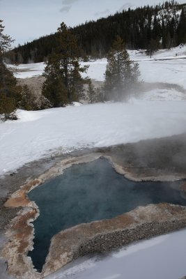 IMG_1024.jpg