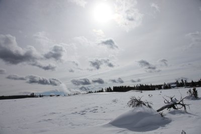 IMG_1034.jpg