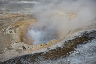 IMG_1085.jpg