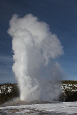 Old faithful