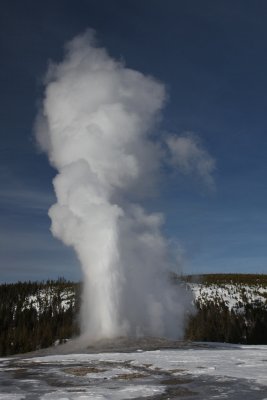 IMG_1206.jpg