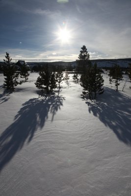 IMG_1228.jpg