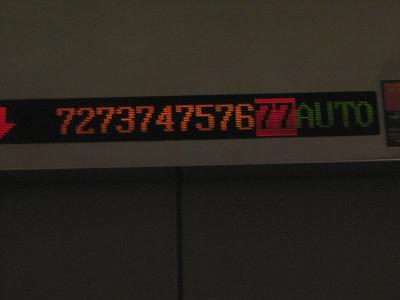 IMG_5397.jpg