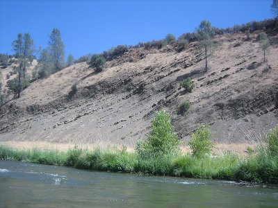 IMG_7372.jpg