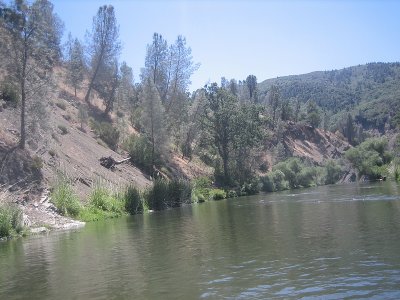 IMG_7385.jpg