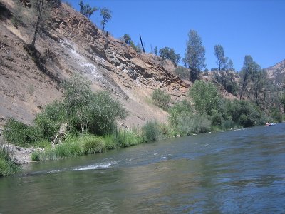 IMG_7397.jpg