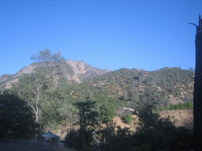 IMG_7419.jpg