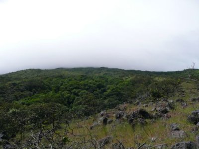 NICA264.jpg