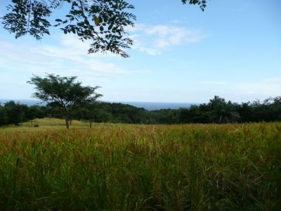 NICA269.jpg