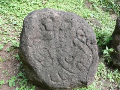 NICA271.jpg