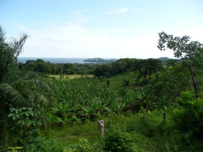 NICA274.jpg