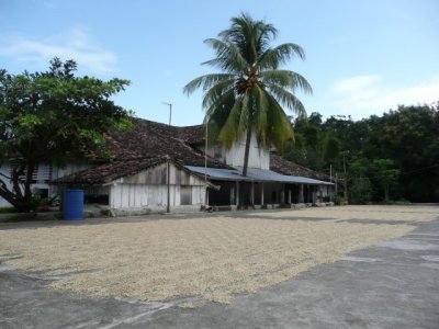 NICA279.jpg