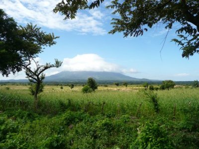 NICA285.jpg