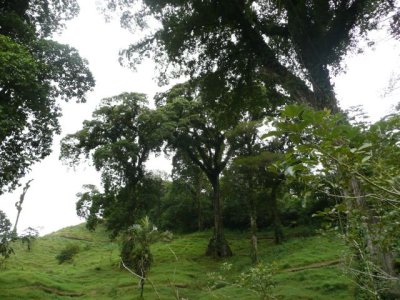 CRCA023.jpg