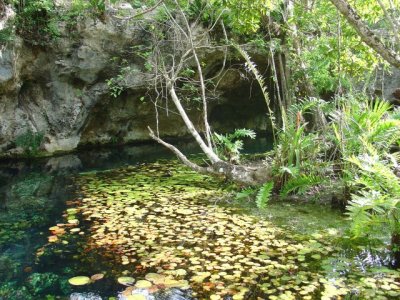 MEX083.jpg