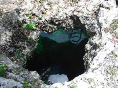 MEX091.jpg