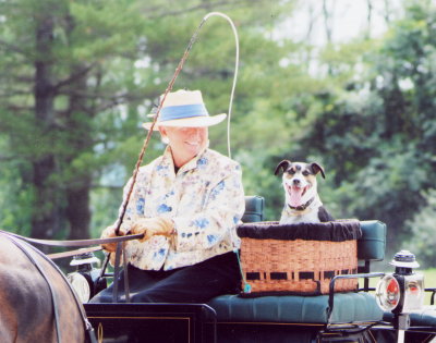 the WINNER - Carriage Dog at Eden Hill - 2007