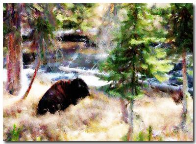 Mikes-Bison-.jpg