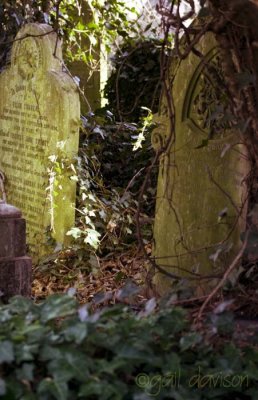 6 January 2008  Abney Park