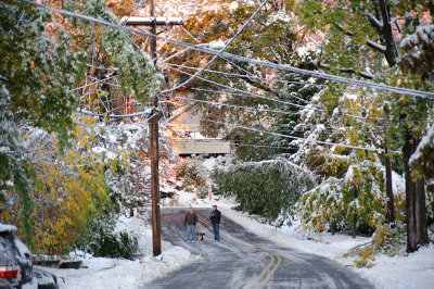 1110 Oct Snowstorm-026.jpg