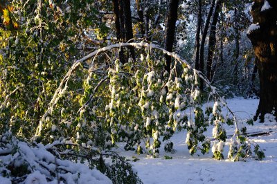 October Snowstorm 2011