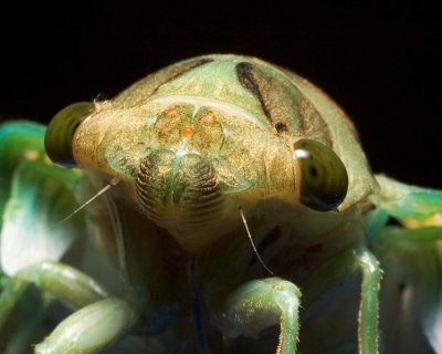DSC_1711.jpg